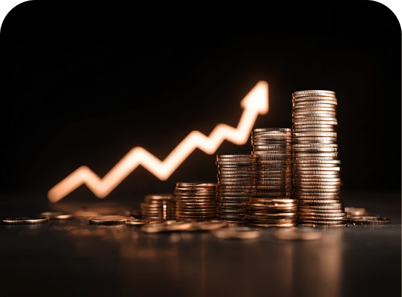 Hisse Senedi Nedir, Nasıl Alınır? 