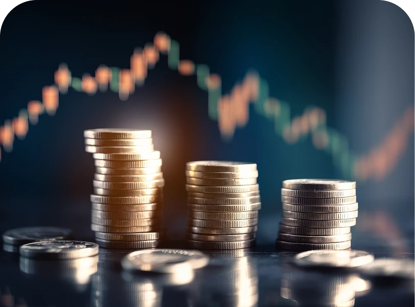 Para Piyasası Fonu Nedir, Nasıl Alınır?